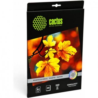 Фотобумага CACTUS Prof CS-SGA426020, формат A4, 260г/м2
